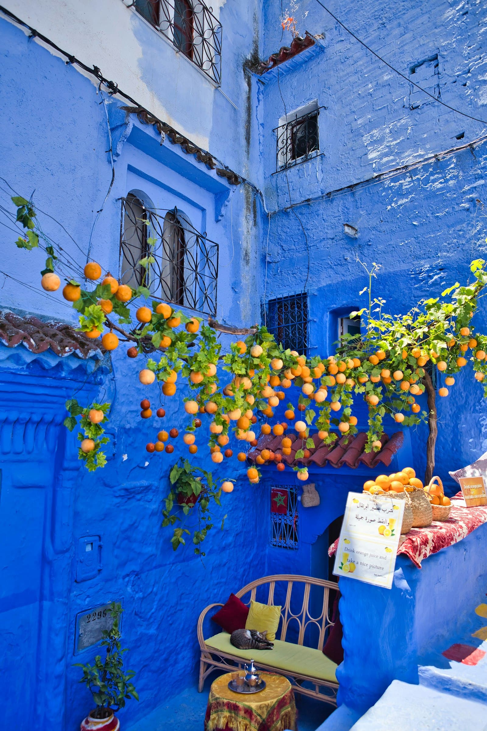 Oranges devant un mur bleu à Chefchaouen